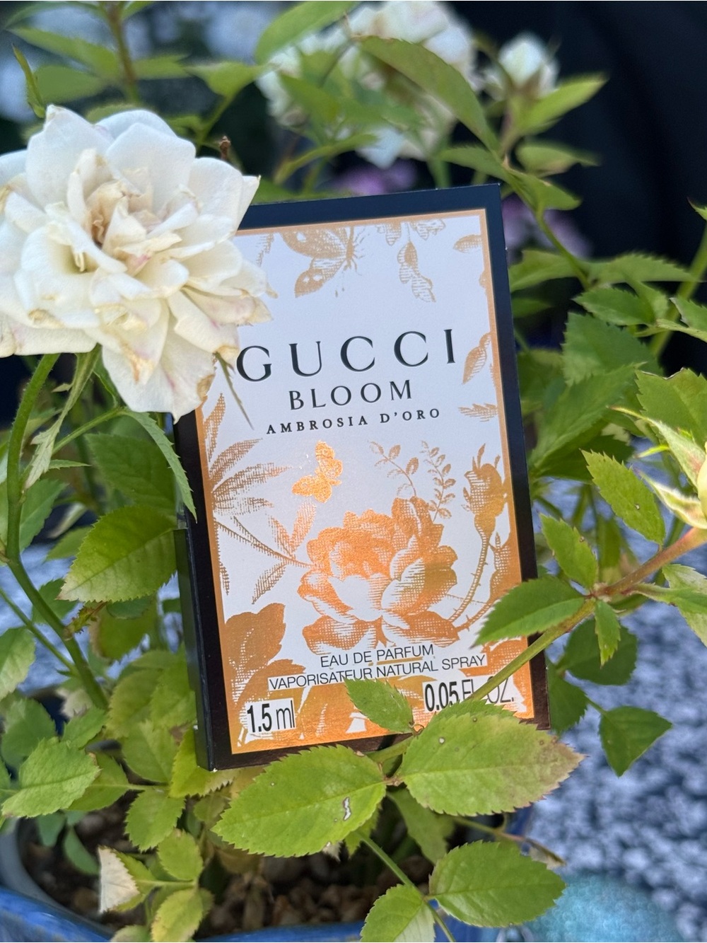 Gucci Bloom Ambrosia D'Oro Mini Perfume, 1.5ml Eau de Perfume, Spray Bottle